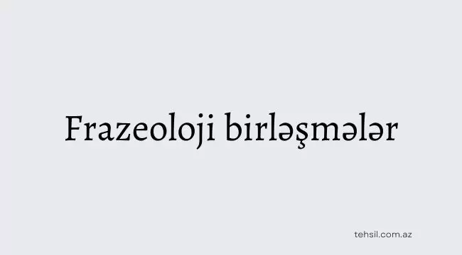 Resim 1