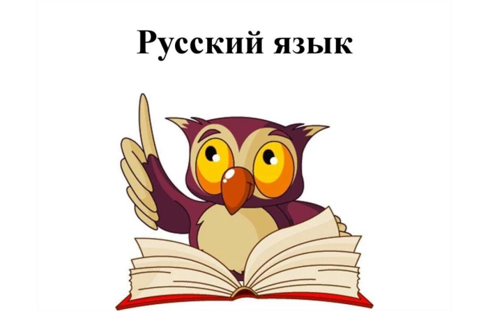 Resim 1